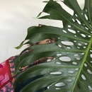 ANA CANTALAPIEDRA ANA CANTALAPIEDRA