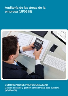 AUDITORÍA DE LAS ÁREAS DE LA EMPRESA AUDITORÍA DE LAS ÁREAS DE LA EMPRESA