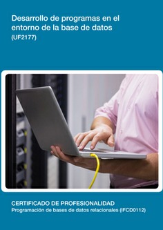 DESARROLLO DE PROGRAMAS EN EL ENTORNO DE LA BASE DE DATOS DESARROLLO DE PROGRAMAS EN EL ENTORNO DE LA BASE DE DATOS