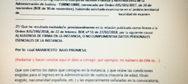 PLANTILLA INSTANCIA SUBSANACIÓN ERRORES LISTA EXCLUIDOS  GESTIÓN PROCESAL