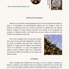 Ana María Abad fortalece su voz literaria con dos microrrelatos en Pansélinos nº 44